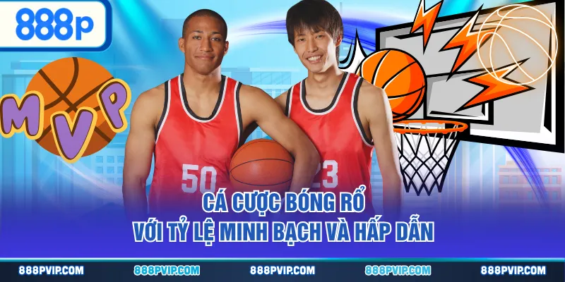 Cá cược bóng rổ với tỷ lệ minh bạch và hấp dẫn