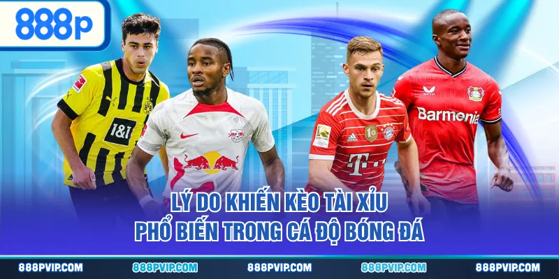 Lý do khiến kèo Tài Xỉu phổ biến trong cá độ bóng đá